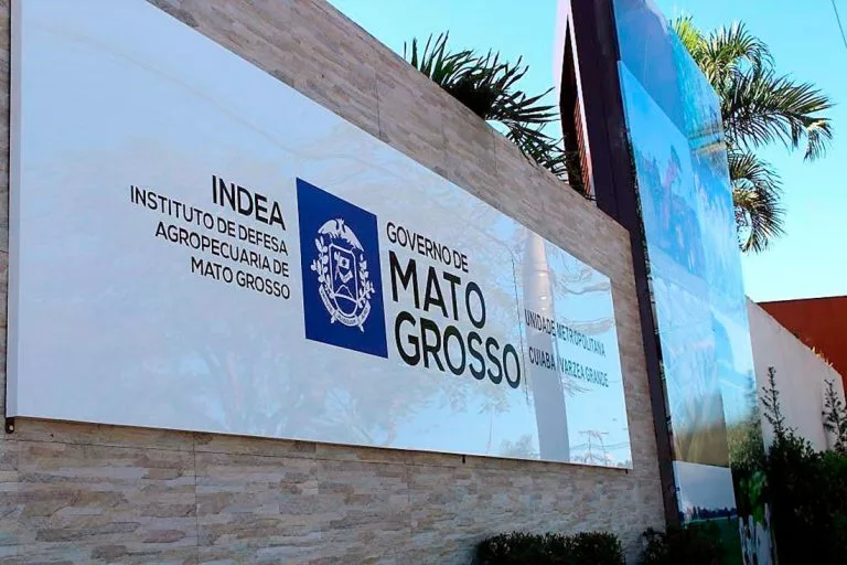 Exame descarta suspeita de gripe aviária em Mato Grosso