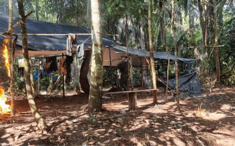 Garimpeiros fogem após Polícia Ambiental localizar área de extração ilegal em Mato Grosso