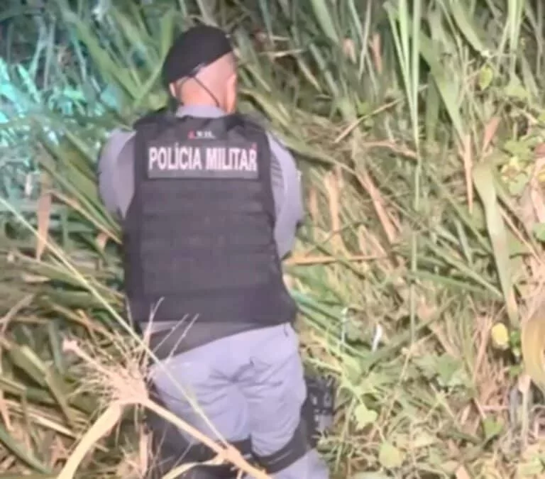 Homem morre ao ser atingido por caminhonete no Nortão; corpo localizado após uma hora