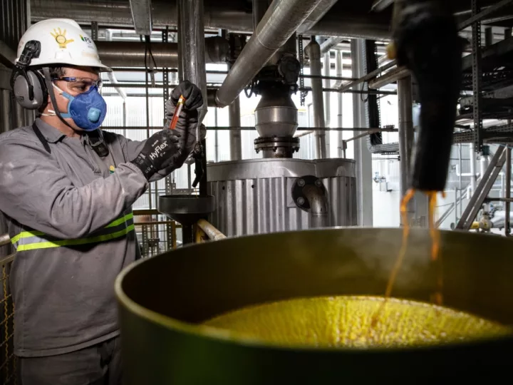 Cuiabá está entre as capitais com maior proporção de empregos verdes do Brasil