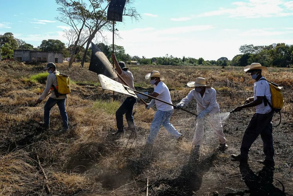 Corpo de Bombeiros capacita mais de 1,4 mil brigadistas em Mato Grosso