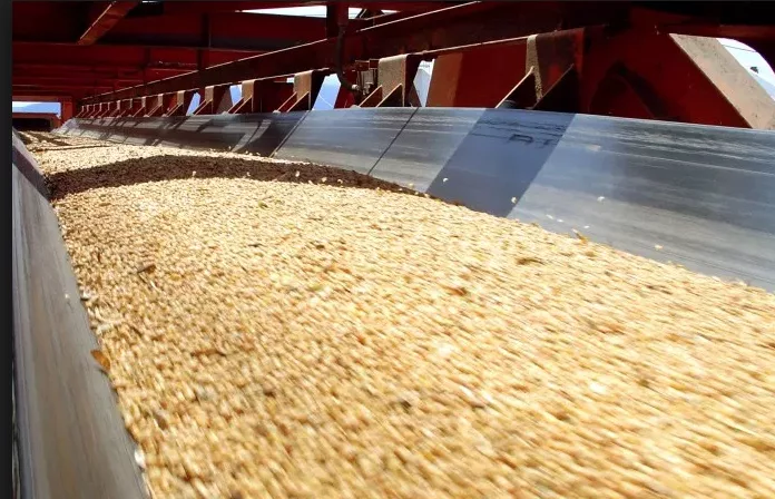 Exportações feitas por indústrias de Sinop sobem para R$ 4,8 bilhões; China continua maior cliente