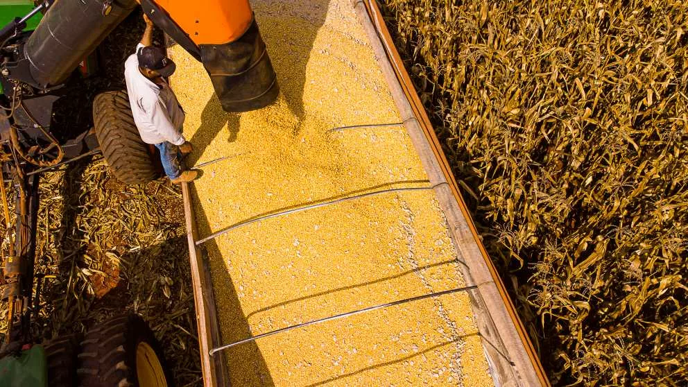 Mato Grosso lidera saldo da balança comercial brasileira no primeiro semestre de 2025