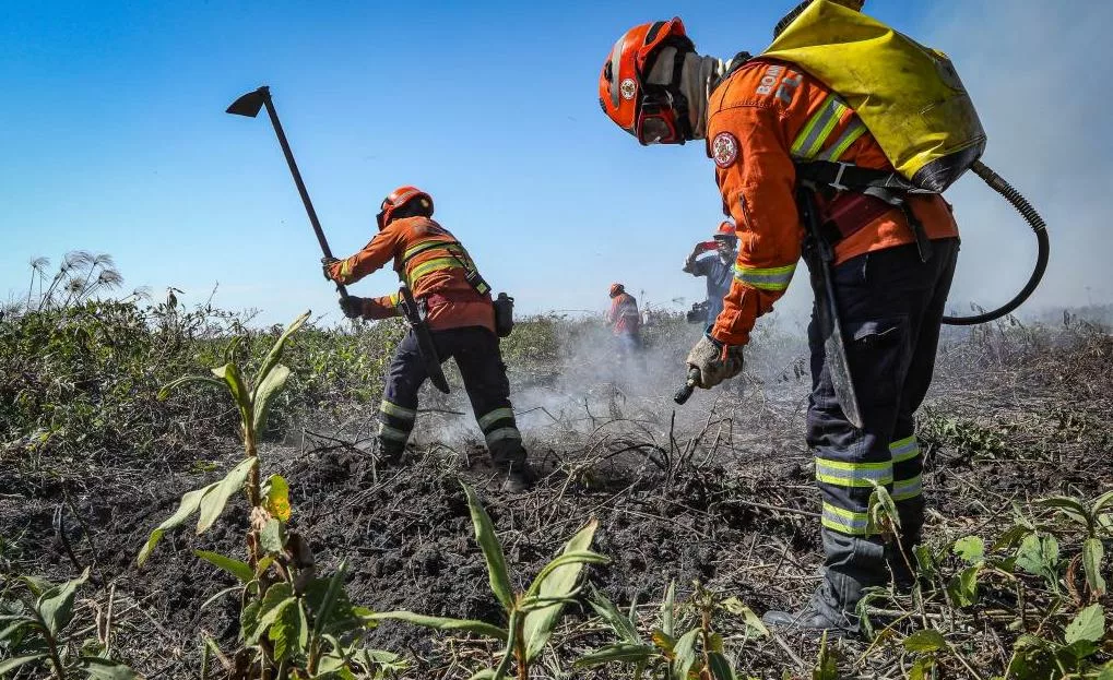 Bombeiros combatem nove incêndios em Mato Grosso