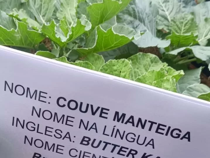 Projeto de escola estadual em Cáceres torna aprendizado em inglês mais atrativo e aumenta engajamento dos alunos
