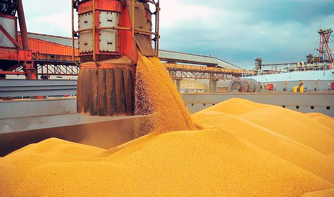 Indústrias de Nova Mutum acumulam R$ 4 bilhões em exportações e China é principal cliente