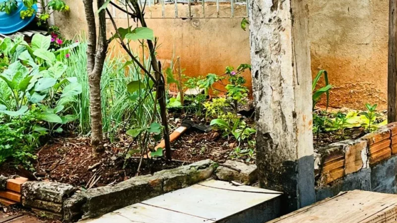 Paraná: Pai é brutalmente assassinado pelo próprio filho a machadadas