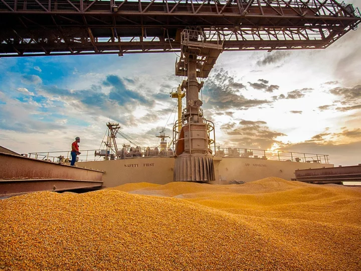 Indústrias em Sinop atingem R$ 7,5 bilhões em produtos exportados