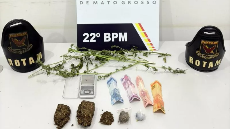Rotam prende faccionado com porções de maconha e mudas de cannabis