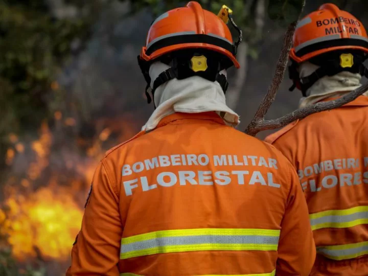 Corpo de Bombeiros combate 13 incêndios florestais neste sábado (11)