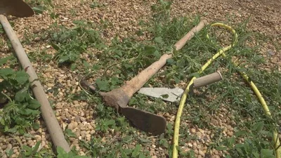 Pedreiro morre após ser agredido com picareta em Sinop (MT)