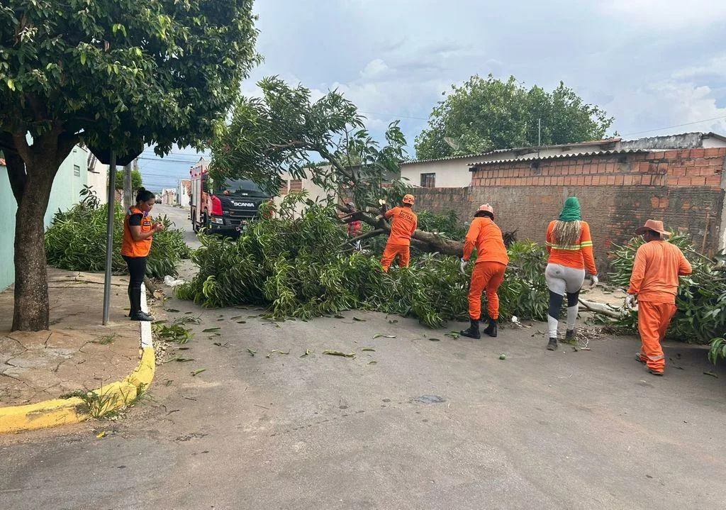 Corpo de Bombeiros atendeu diversas ocorrências de queda de árvores nesta segunda-feira (17)