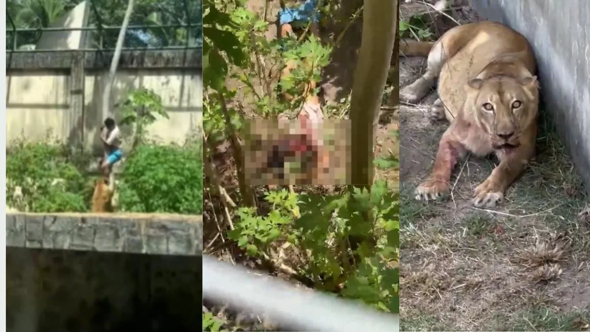 Homem morto por leoa em zoológico de João Pessoa (PB) já foi preso 10 vezes