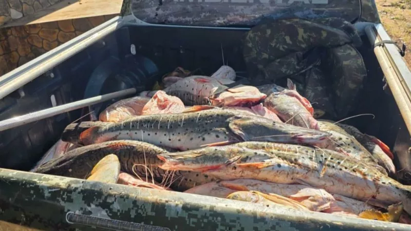 Polícia Militar apreende mais de 1 tonelada de pescado irregular em Rondonópolis
