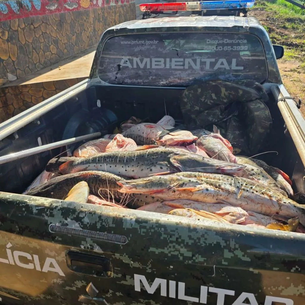 Polícia Militar apreende mais de 1 tonelada de pescado irregular em Rondonópolis