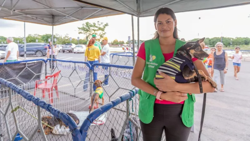 Feira de adoção no Parque Tia Nair incentiva cuidado, afeto e responsabilidade com os animais