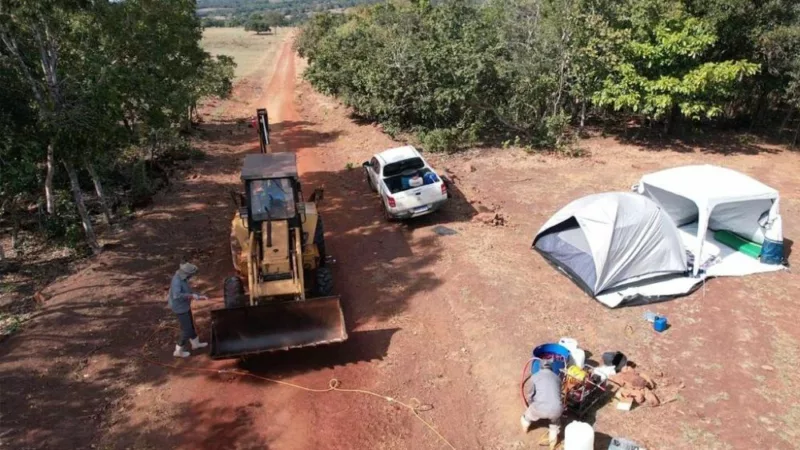 Mapa confirma caso de gripe aviária em Cuiabá; Indea adota medidas para conter foco