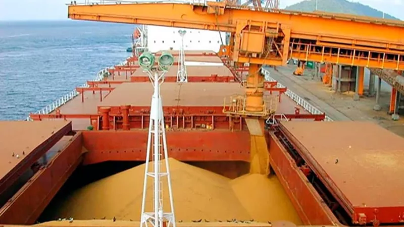 Sinop é 3º maior exportador de produtos de Mato Grosso; R$ 9 bilhões em negócios