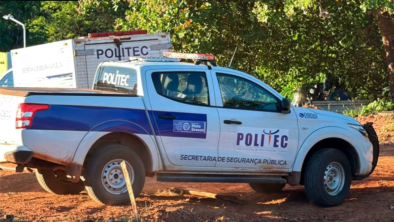 Trabalhador morre após ser atingido por tora de árvore em Mato Grosso