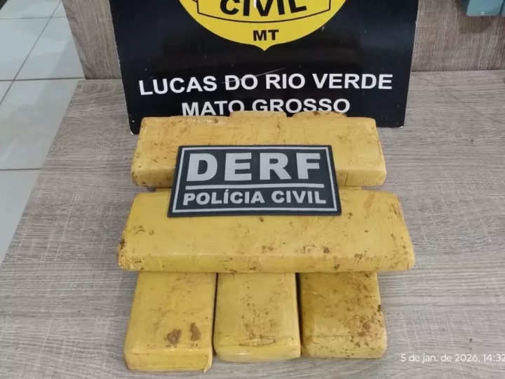 Polícia Civil apreende tabletes de maconha enterrados debaixo de pé de manga em Lucas do Rio Verde