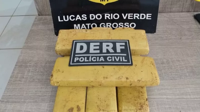 Polícia Civil apreende tabletes de maconha enterrados debaixo de pé de manga em Lucas do Rio Verde