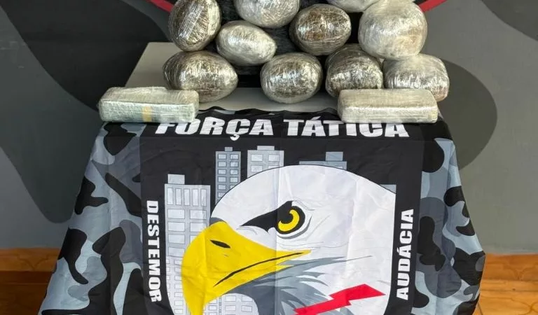 Força Tática apreende oito quilos de entorpecentes com passageiro em ônibus interestadual em General Carneiro