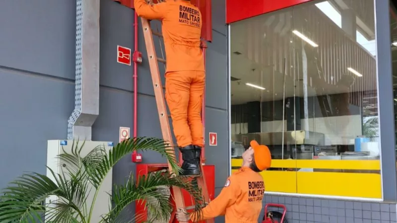 Bombeiros resgatam jupará que estava em estrutura de supermercado em Confresa