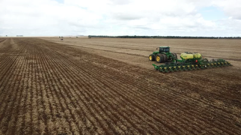 Plantio do milho em MT chega a 93,6%, mas atraso e excesso de chuva preocupam produtores