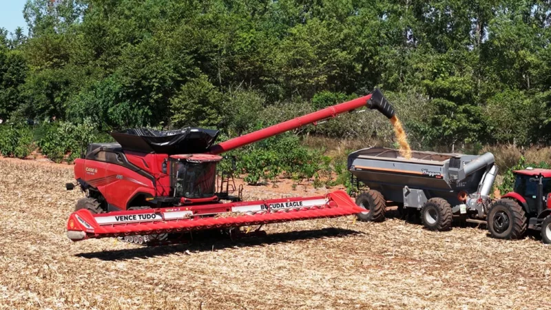 Sinop é a 3ª em volume de exportações em Mato Grosso; China e Paquistão maiores clientes