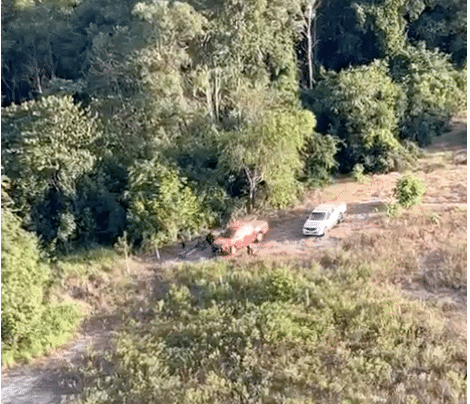 Após oito horas de buscas com helicóptero, bombeiros localizam com vida funcionário de fazenda desaparecido no Nortão