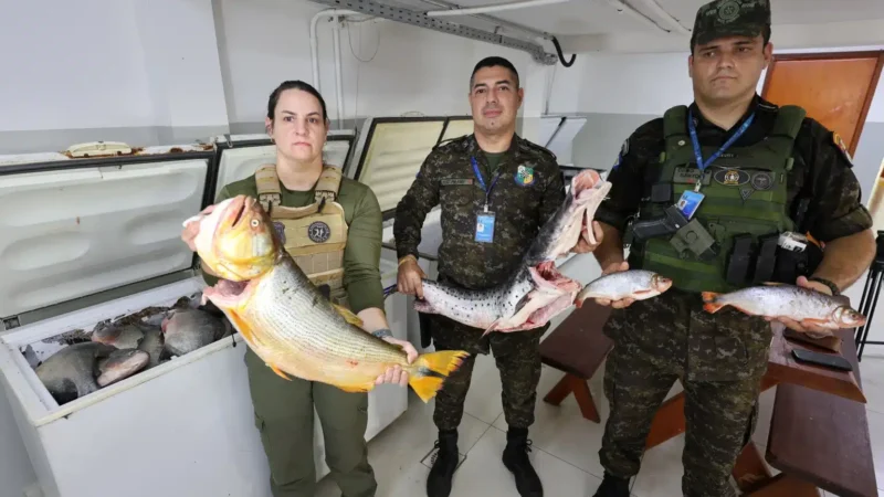 Operação conjunta apreende quase uma tonelada de pescado irregular em Mato Grosso