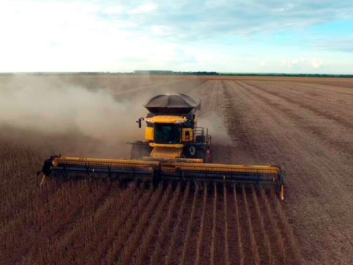 Sinop é a 2ª maior exportadora de Mato Grosso no mês; soja, farelo e carne lideram
