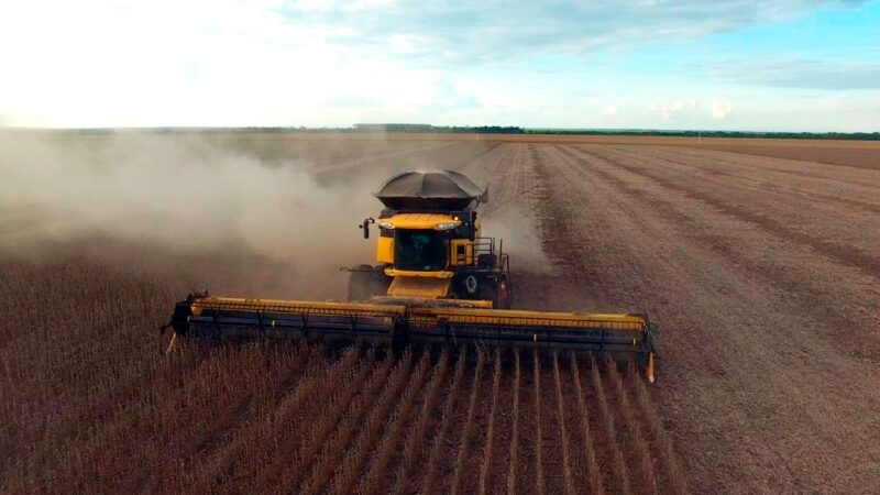 Sinop é a 2ª maior exportadora de Mato Grosso no mês; soja, farelo e carne lideram