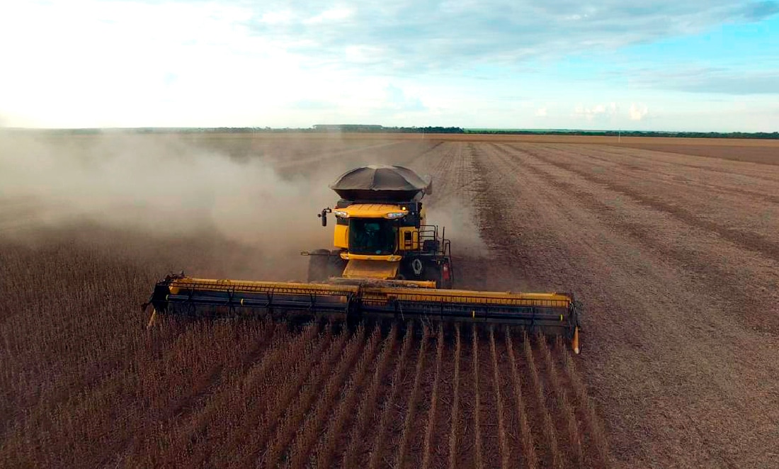 Sinop é a 2ª maior exportadora de Mato Grosso no mês; soja, farelo e carne lideram