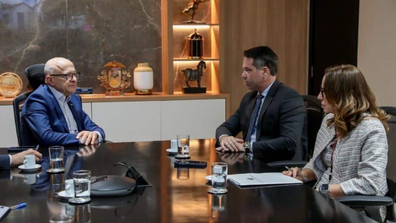 Governo de MT vai ampliar florestas plantadas e substituir madeira de desmatamento por fontes renováveis