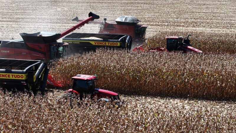 Colheita de milho em Mato Grosso chega a 90%; estimativa de recorde