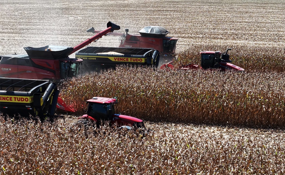 Colheita de milho em Mato Grosso chega a 90%; estimativa de recorde
