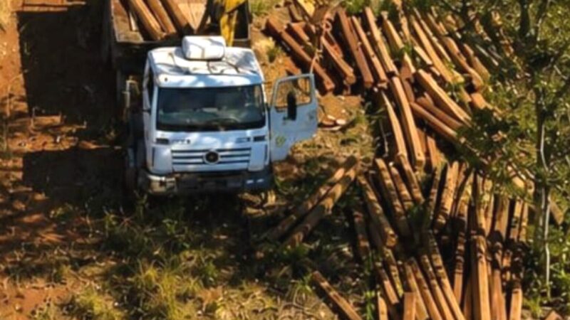 Dois são presos após denúncia de extração ilegal de madeira em terra indígena em Mato Grosso