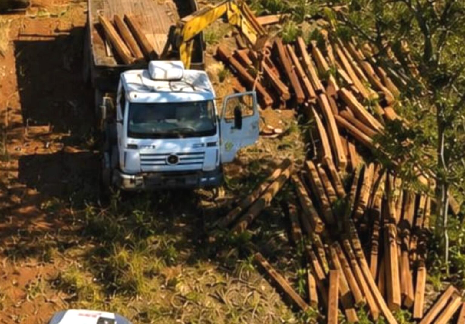 Dois são presos após denúncia de extração ilegal de madeira em terra indígena em Mato Grosso