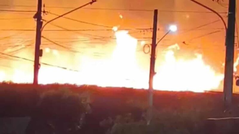 Incêndio de grandes proporções atinge área de reserva em Sinop