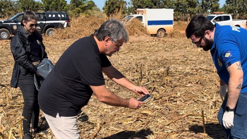 Ossada encontrada em Sinop será enviada para exame de DNA; polícia suspeita que seja de jovem