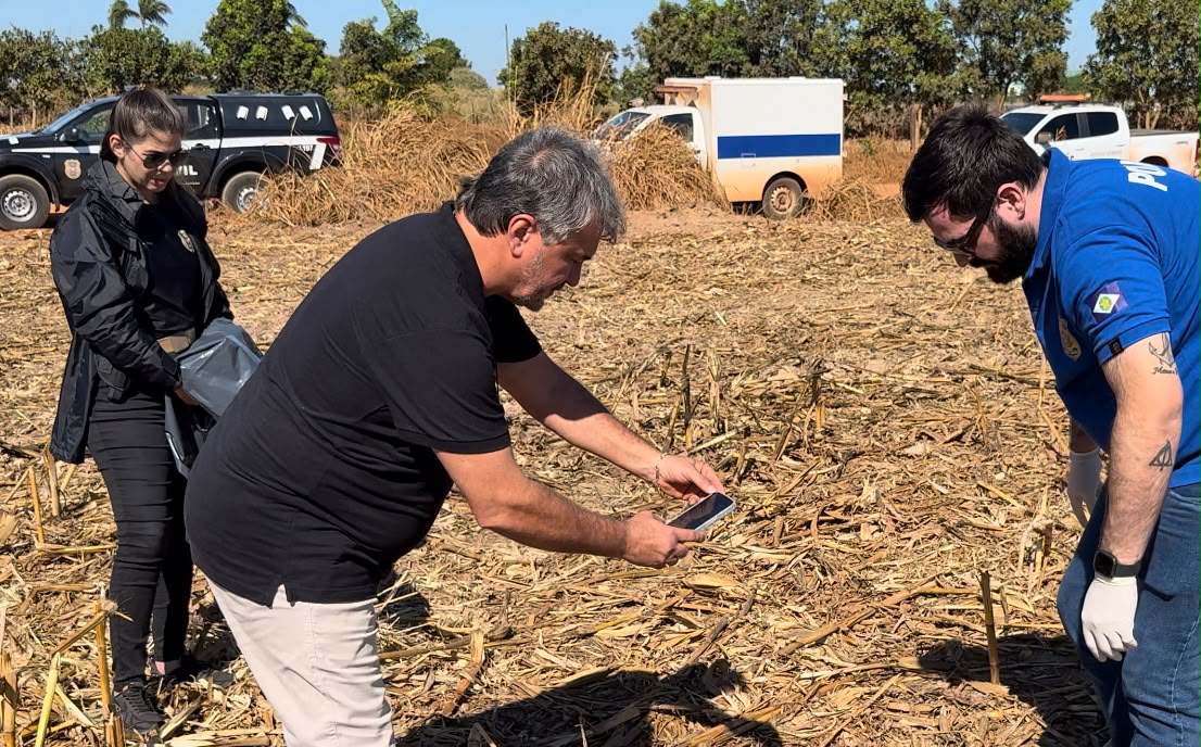 Ossada encontrada em Sinop será enviada para exame de DNA; polícia suspeita que seja de jovem