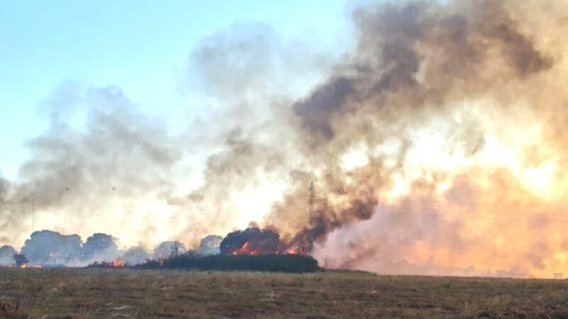 Queimada destrói cerca de 160 hectares de vegetação em Sinop