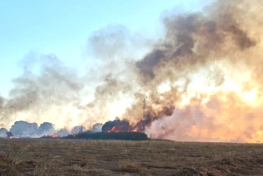 Queimada destrói cerca de 160 hectares de vegetação em Sinop