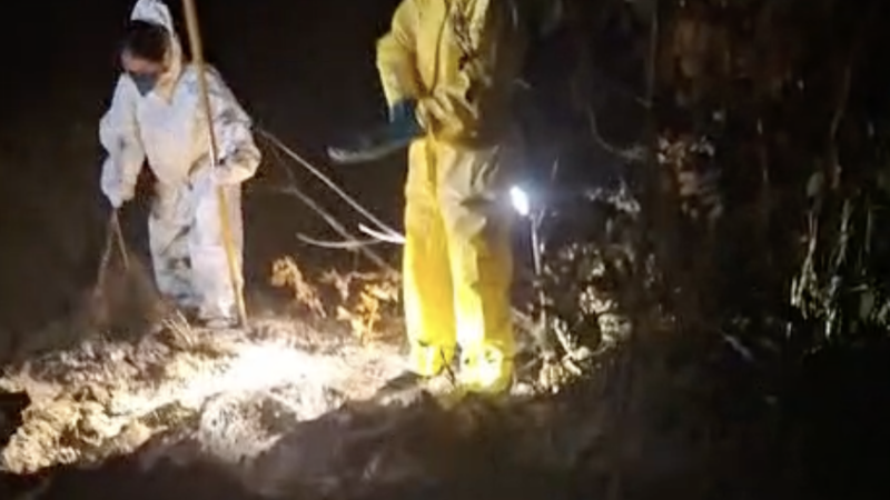 Corpo de adolescente sequestrada é achado em cova rasa em MT