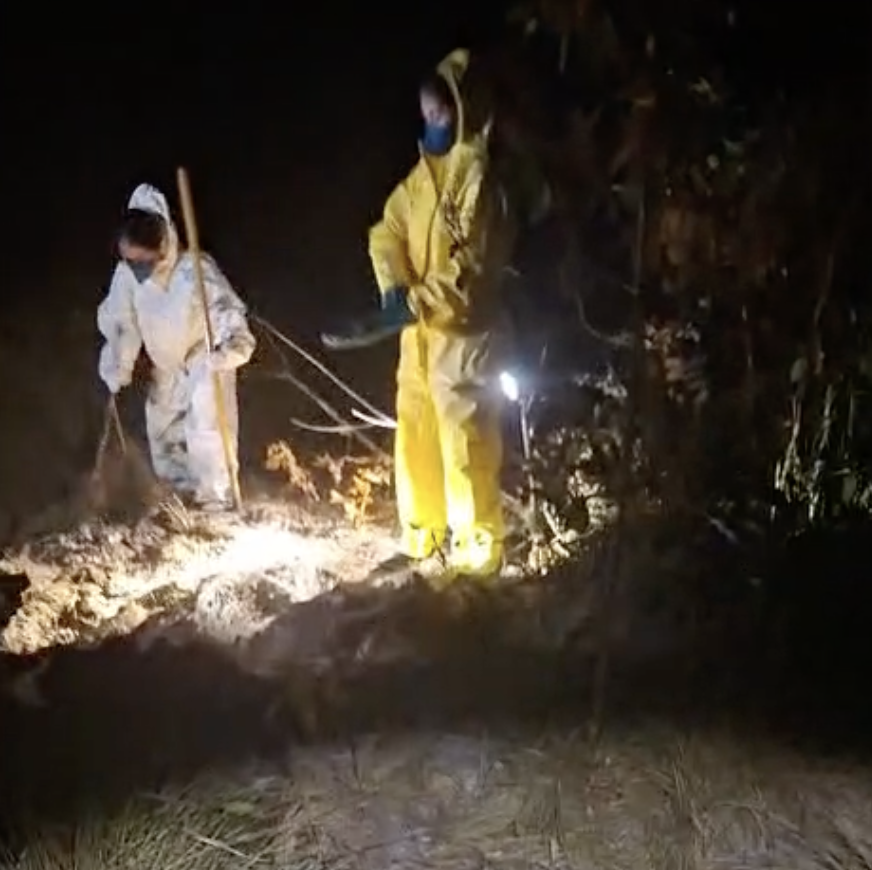 Corpo de adolescente sequestrada é achado em cova rasa em MT