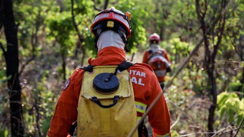 Bombeiros apagam quatro incêndios florestais em MT e seguem combate