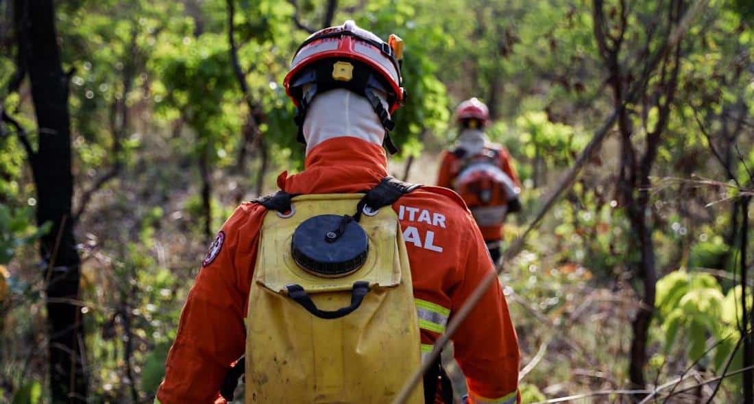 Bombeiros apagam quatro incêndios florestais em MT e seguem combate