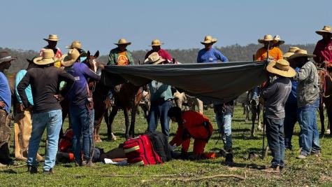 Trabalhador rural é resgatado após cair de cavalo no Pantanal