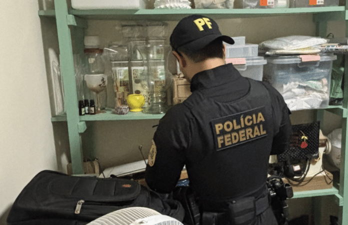 Policia Federal faz operação contra grupo que movimentou R$ 5,2 milhões com ouro ilegal em Mato Grosso